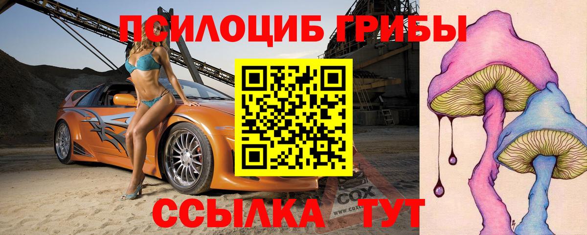 Псилоцибиновые грибы Psilocybine cubensis Великий Новгород