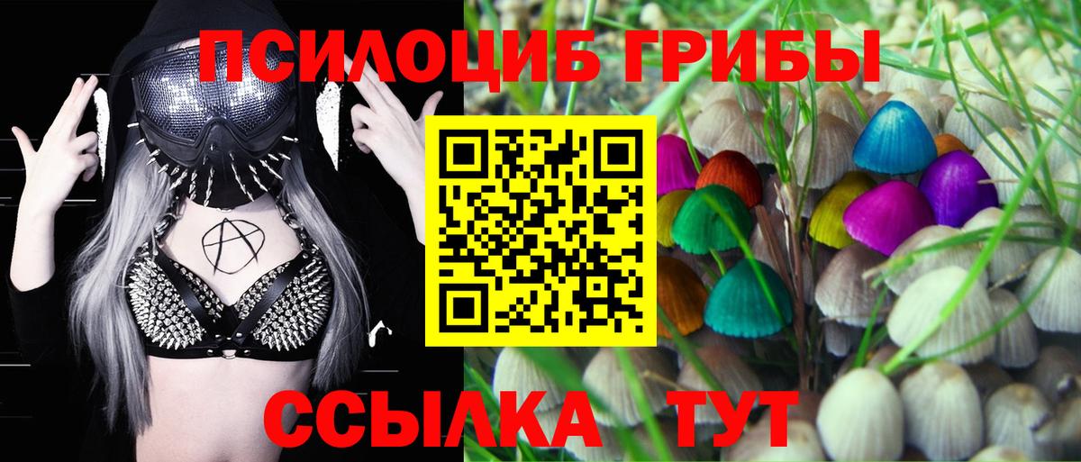 купить наркотик  Псилоцибиновые грибы MAGIC MUSHROOMS  Галлюциногенные грибы Cubensis  Вход с VPN  Великий Новгород 